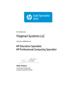 Сертификат HP Gold Specialist 2013