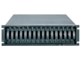    ( ) IBM System Storage DS3950 Express